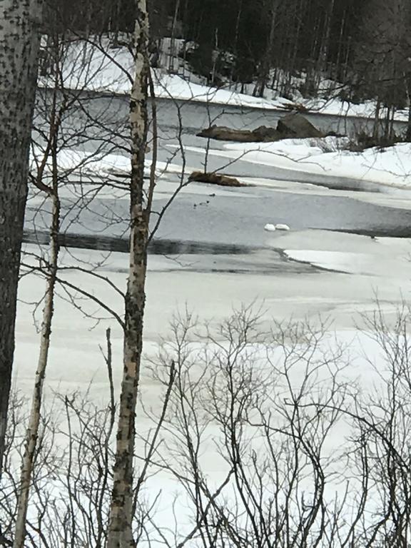 Villa Somosenranta Oikarainen Dış mekan fotoğraf
